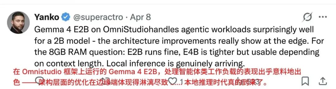 海外用户关于 8GB RAM 与模型版本选择的评论