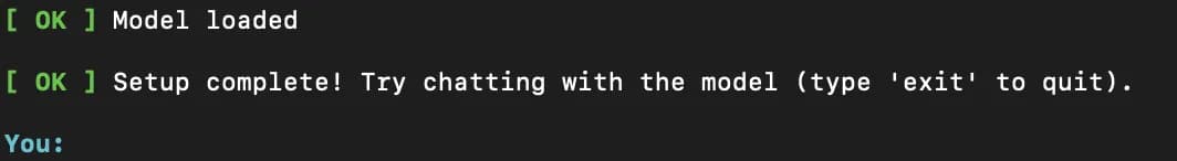 OmniInfer 本地模型运行界面